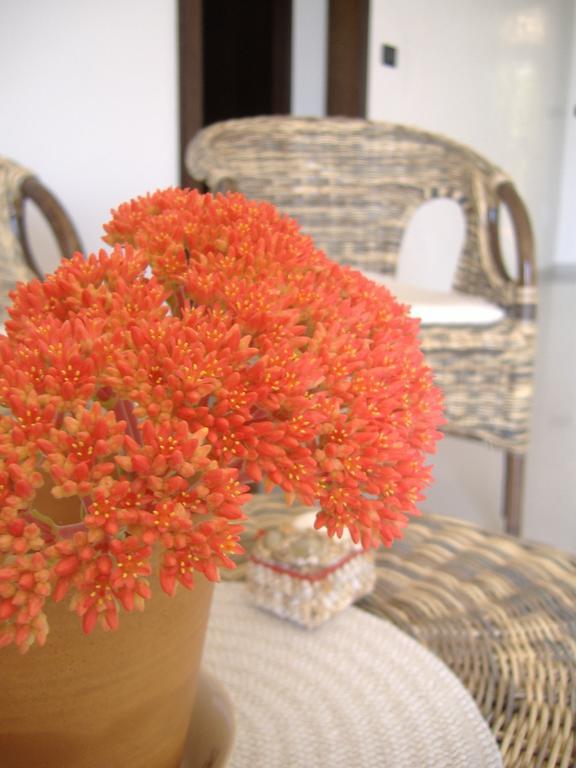B&B Corallo Capilungo Buitenkant foto